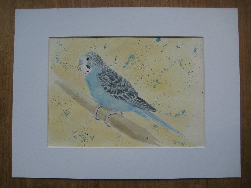 Aquarel blauwe parkiet (30 x 40 cm.), Ophalen, Minder dan 50 cm, Oorspronkelijke maker, Nieuw