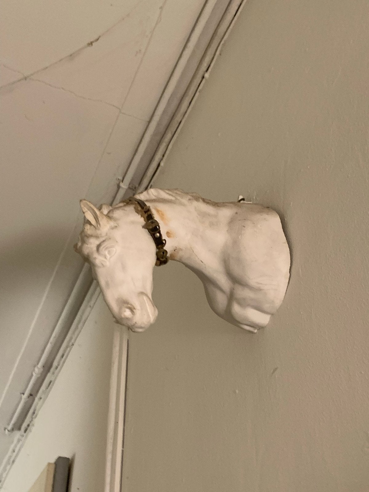 Vintage paardenhoofd wanddecoratie, Ophalen