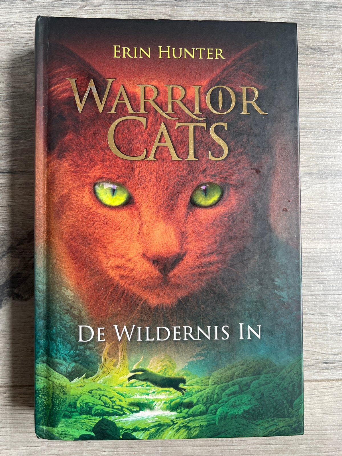 Warrior Cats: De Wildernis In - Erin Hunter, Boeken, Kinderboeken | Jeugd | 10 tot 12 jaar, Gelezen, Fictie, Ophalen of Verzenden