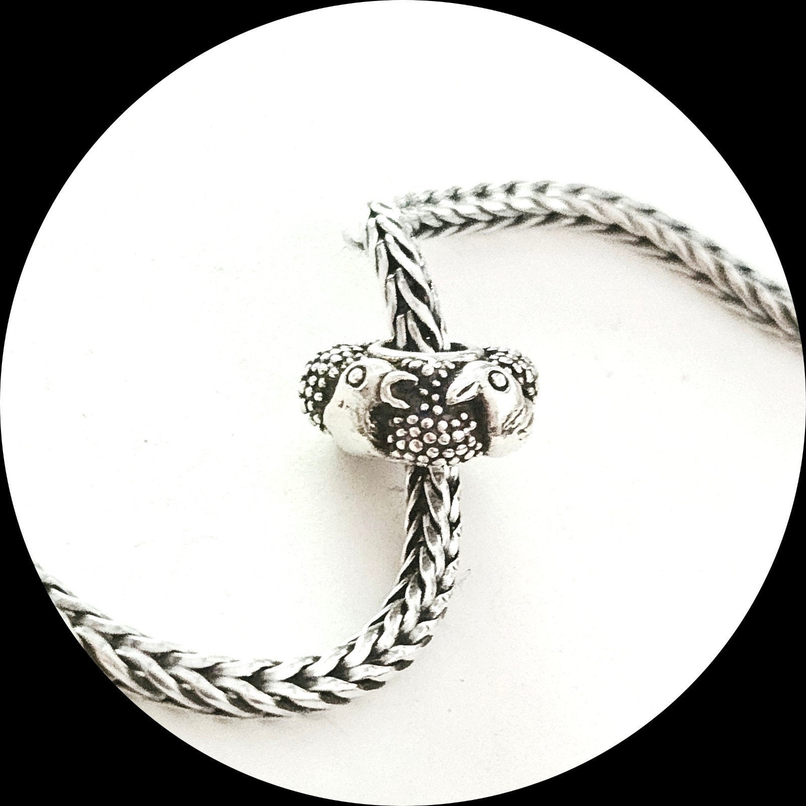 trollbeads Paradijsvogels TAGBE-50005 / retired, Sieraden, Tassen en Uiterlijk, Bedels, Ophalen of Verzenden, Zo goed als nieuw