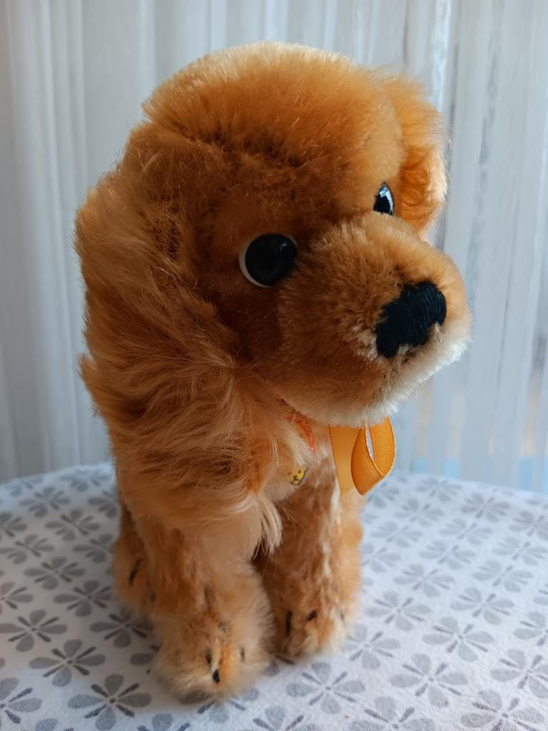 Revue Susi Hondje, Ophalen of Verzenden