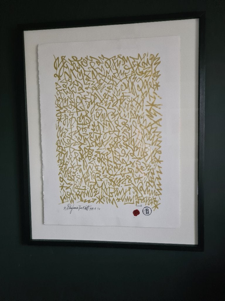 Origineel Werk Benjamin van Oost Zwevend ingekaderd 75x93cm, Ophalen