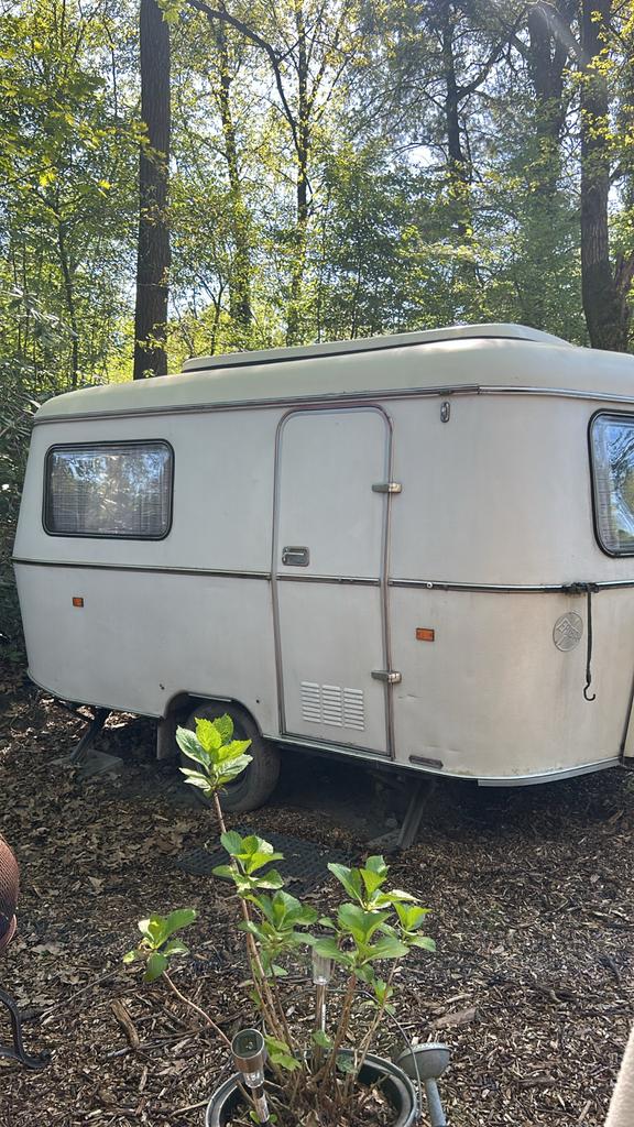 Eriba Pan 1976 - Uitstekende conditie & originele staat, Caravans en Kamperen, Tot en met 2, Treinzit, Lengtebed, Eriba