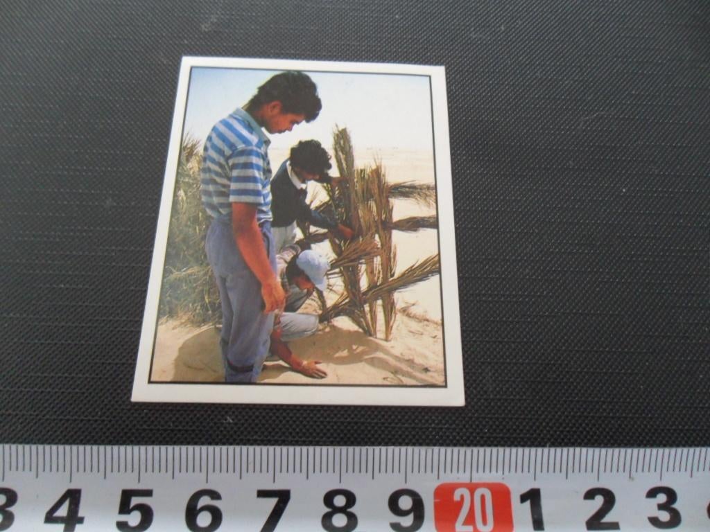 sticker panini WWF leven op aarde #318, Ophalen, Zo goed als nieuw
