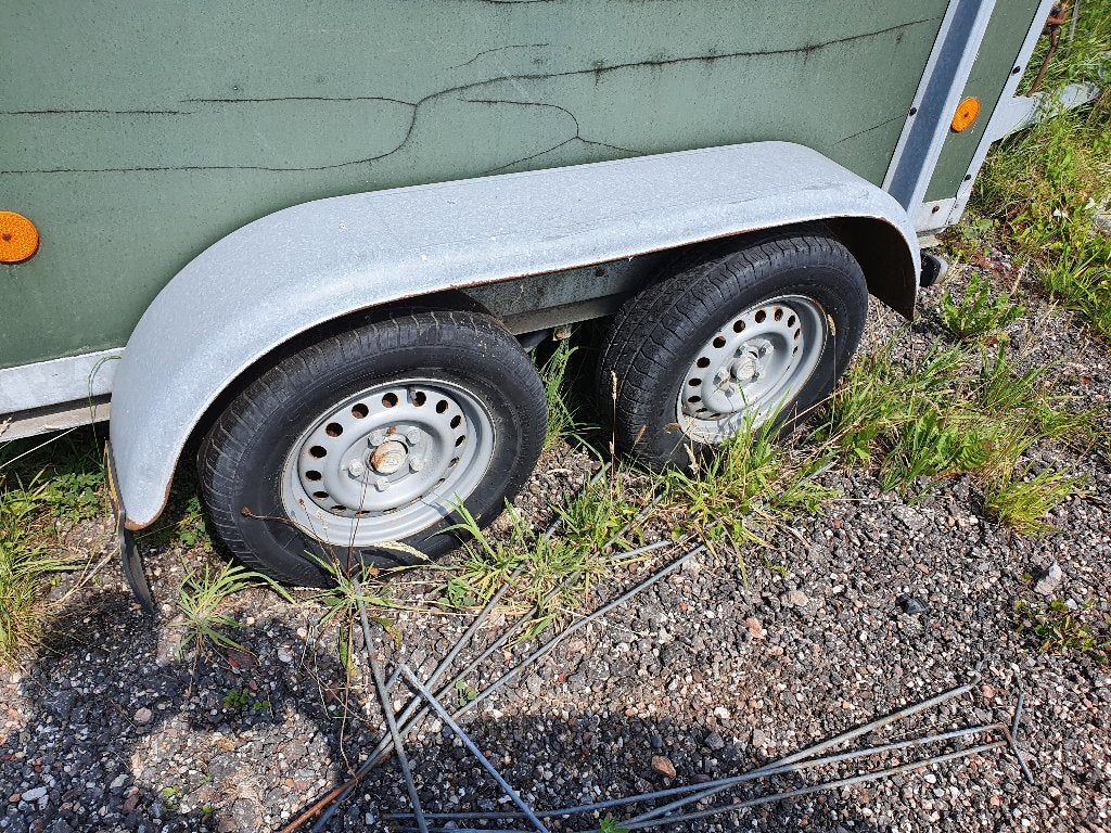 Veetrailer, Mannelijk