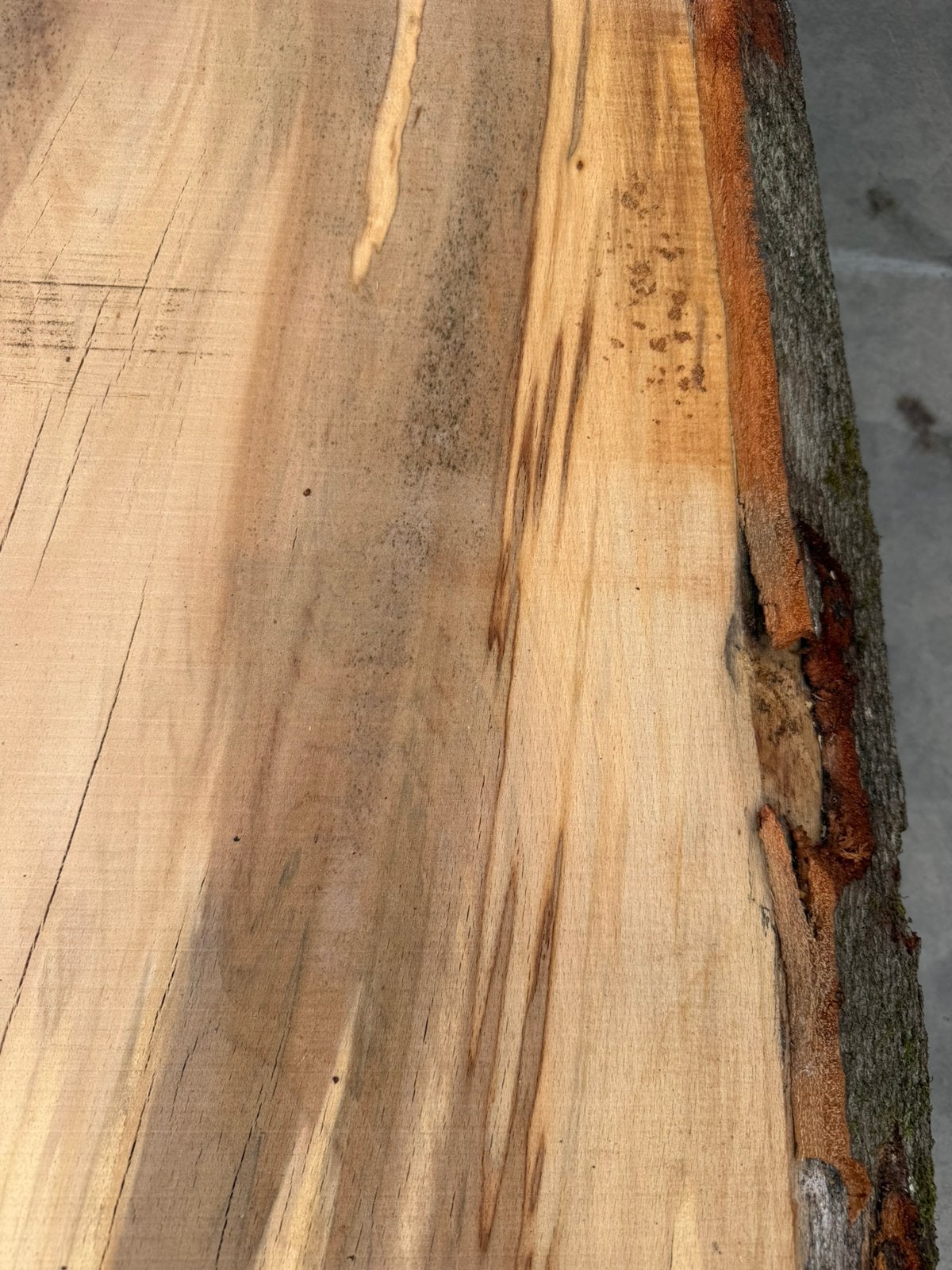 Grote beuken boomstambladen 245x70x7cm, Tuin en Terras, Palen, Balken en Planken, Ophalen, Zo goed als nieuw, 250 cm of meer, Planken