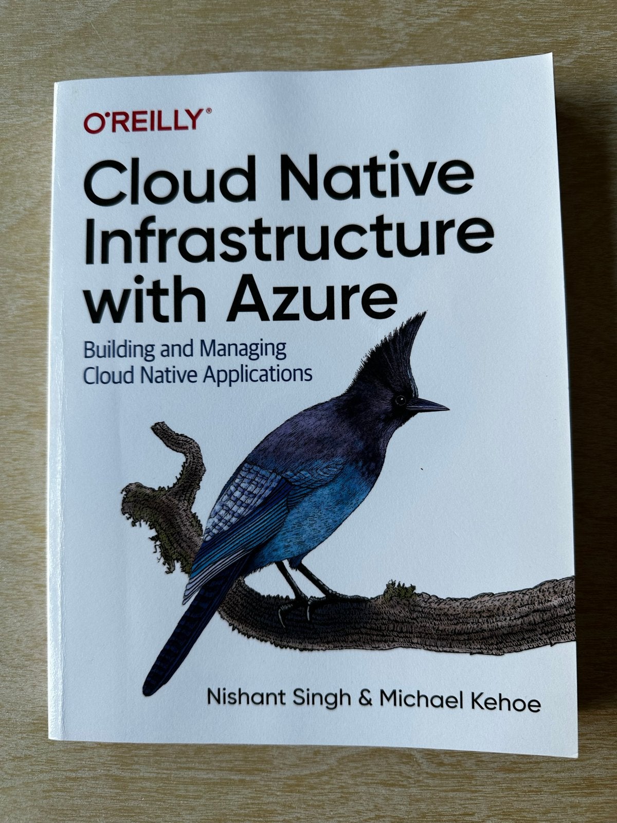 Cloud Native Infrastructure with Azure - O'Reilly, Boeken, Ophalen of Verzenden, Beta, Zo goed als nieuw, HBO