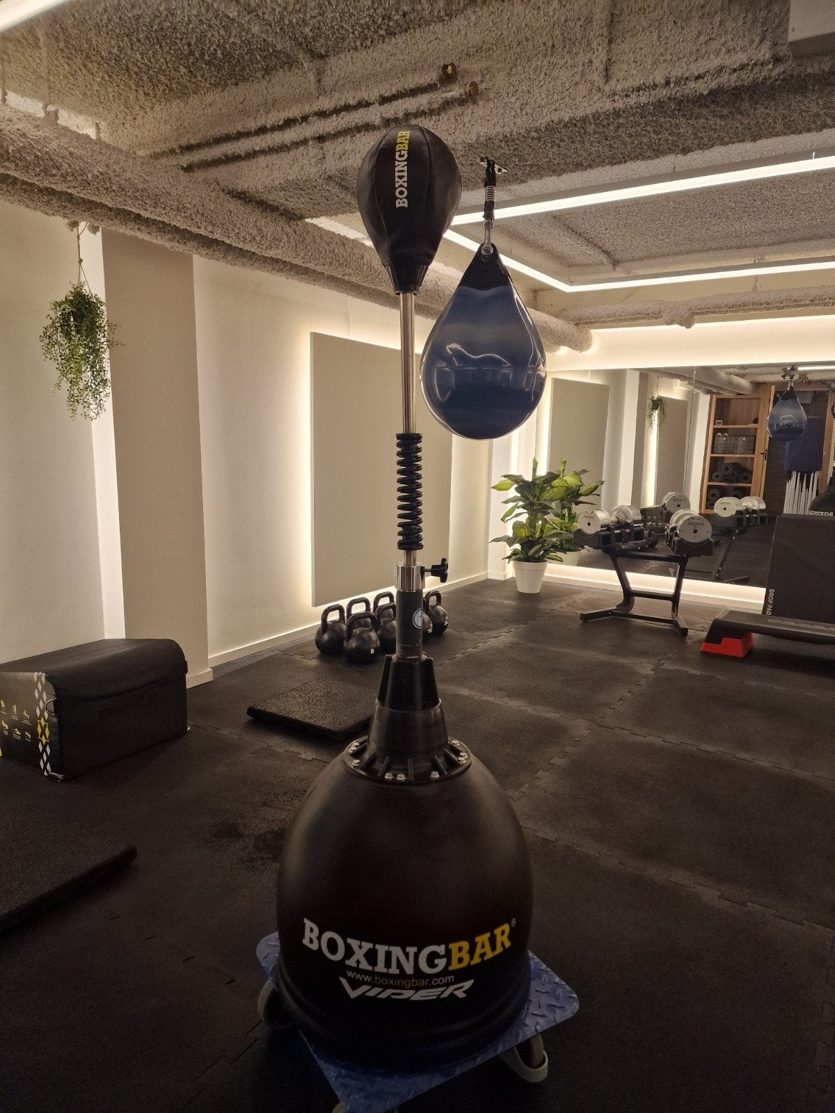 Boxingbar Viper reflex Boksbal op standaard, Ophalen, Gebruikt, Boksbal