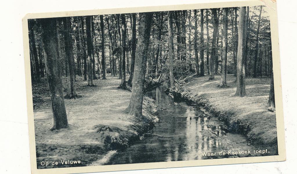 9661 Op De Veluwe waar de koekoek roept, Verzamelen, Ophalen of Verzenden, 1940 tot 1960, Gelderland