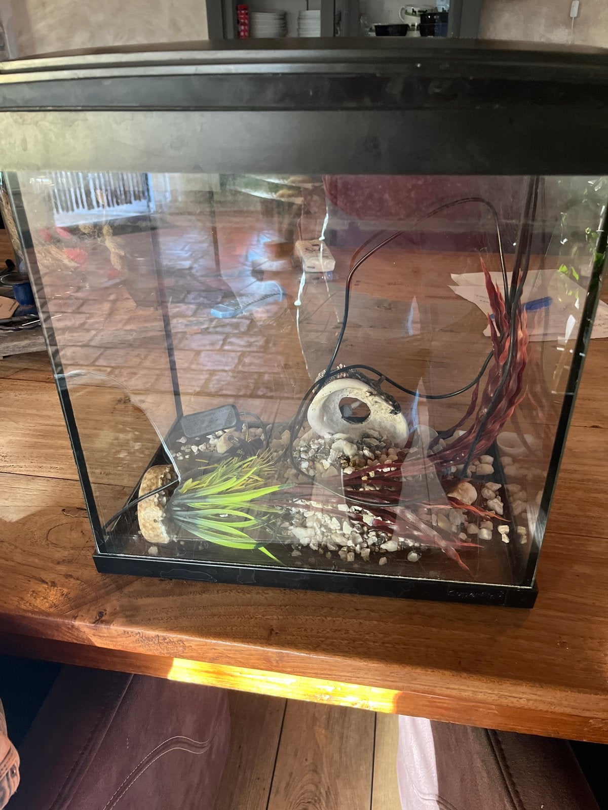 Vis aquarium te koop, Ophalen, Leeg aquarium