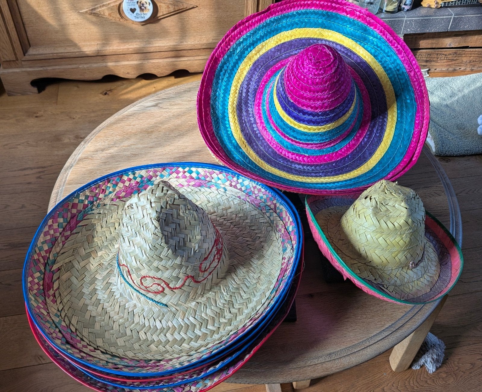 Diverse Sombrero's - Feestelijke Mexicaanse Hoeden, Ophalen of Verzenden, Gebruikt, Hoed of Pruik, Carnaval