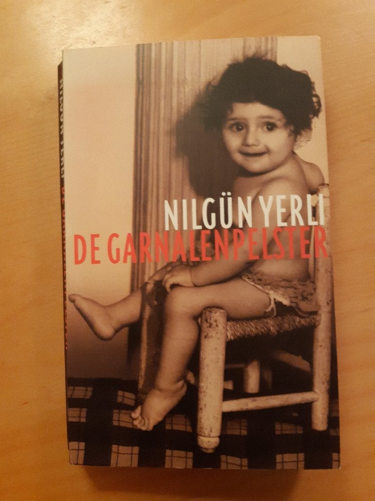 Autobiografische roman Nilgün Yerli, Boeken, Ophalen of Verzenden, Gelezen, Nilgün Yerli, Nederland