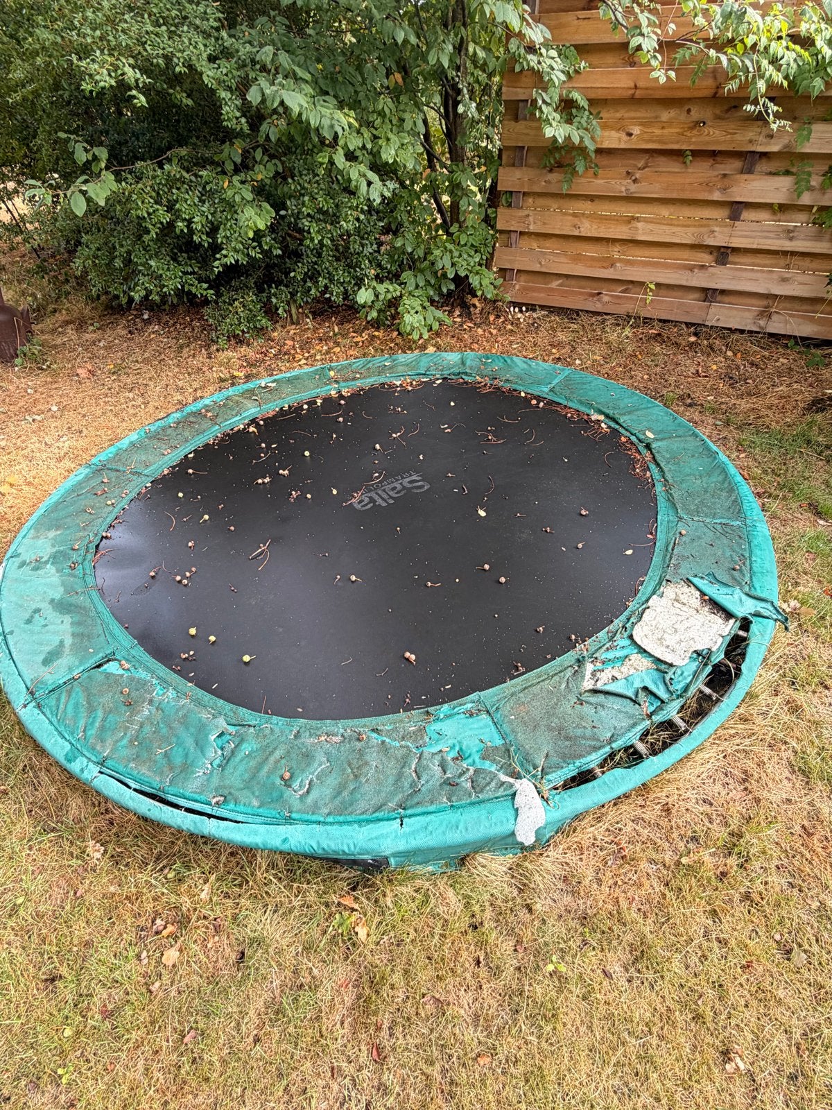 Gratis Trampoline (groene ring te vervangen), Ophalen, Gebruikt