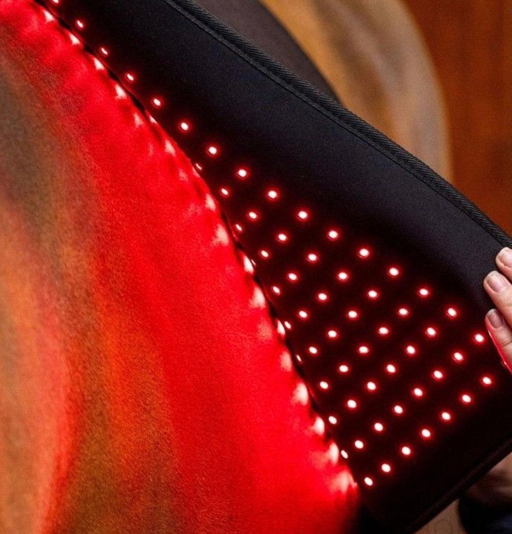 Horseware red light pad, Ophalen of Verzenden, Zo goed als nieuw