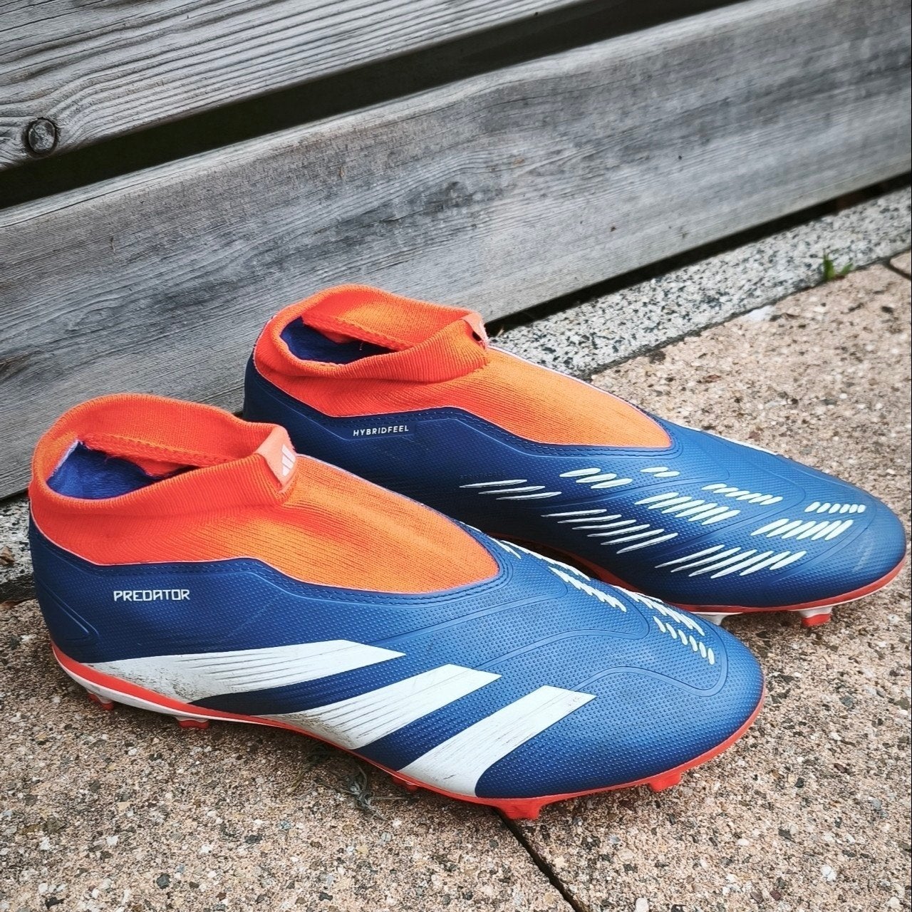 Adidas Predator 42 3/4, Maat XS of kleiner, Ophalen, Schoenen