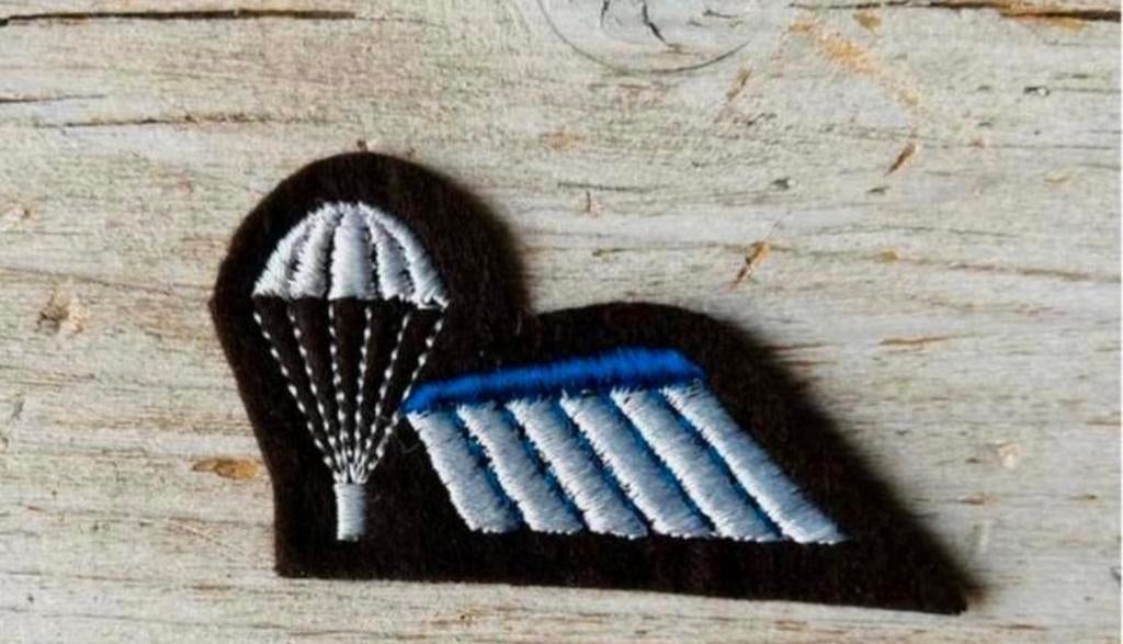 Para-Wing B brevet Halve Nederlands Blauw op Bruin -, Verzenden, Landmacht, Nederland, Embleem of Badge