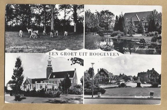 Oude ansichtkaart Hoogeveen - Hertenkamp, Park, Raadhuis, Ophalen of Verzenden, 1940 tot 1960, Ongelopen, Drenthe