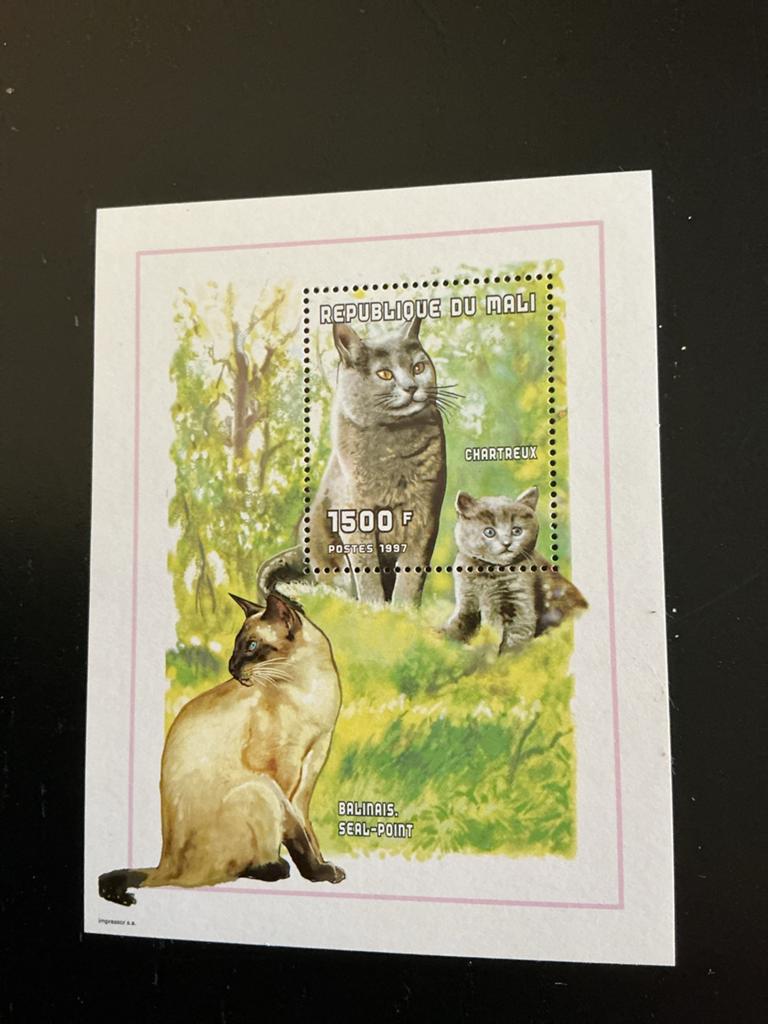Mali postzegel 1997 - Katten: Balinees, Chartreux, Postzegels en Munten, Postzegels | Thematische zegels, Postfris, Ophalen of Verzenden