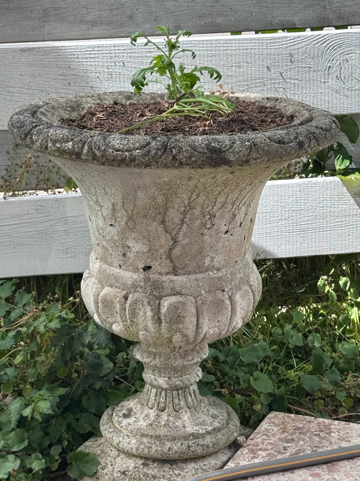 Antieke stenen bloempot, Ophalen, Gebruikt, Minder dan 60 cm, Binnen