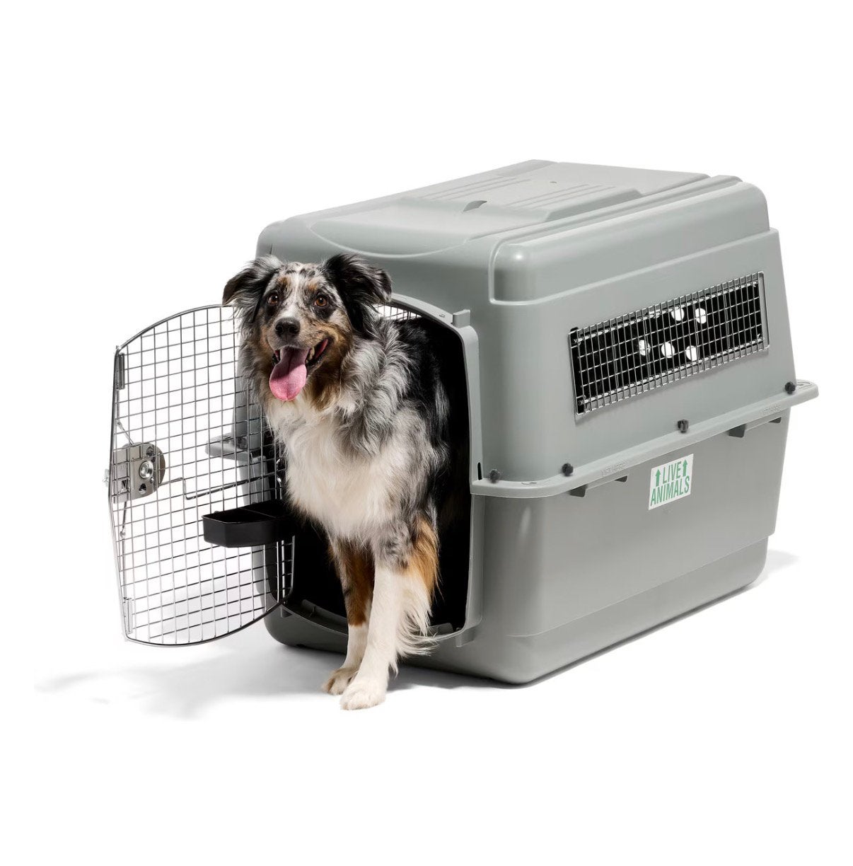 Petmate Sky Dog Crate/Kennel, Gray, 36-in, 50-70-lbs, Dieren en Toebehoren, Ophalen, Zo goed als nieuw