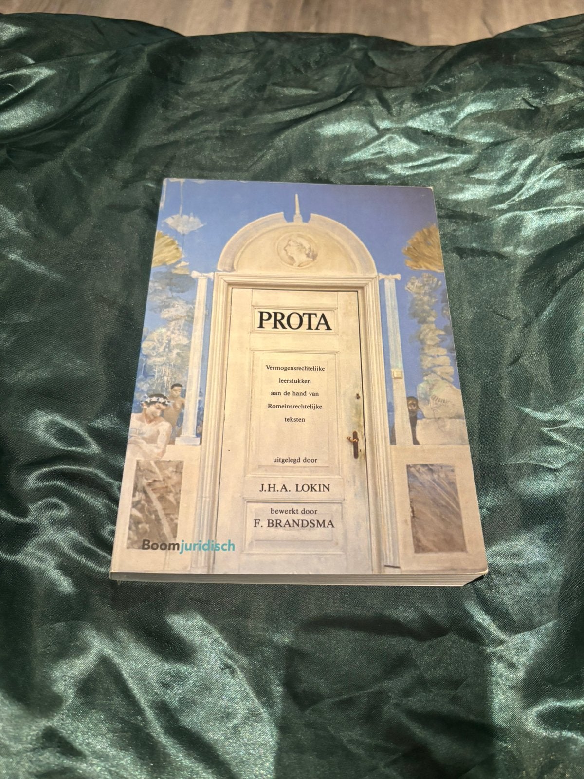 J.H.A. Lokin - Prota, Boeken, Ophalen of Verzenden, Zo goed als nieuw, J.H.A. Lokin
