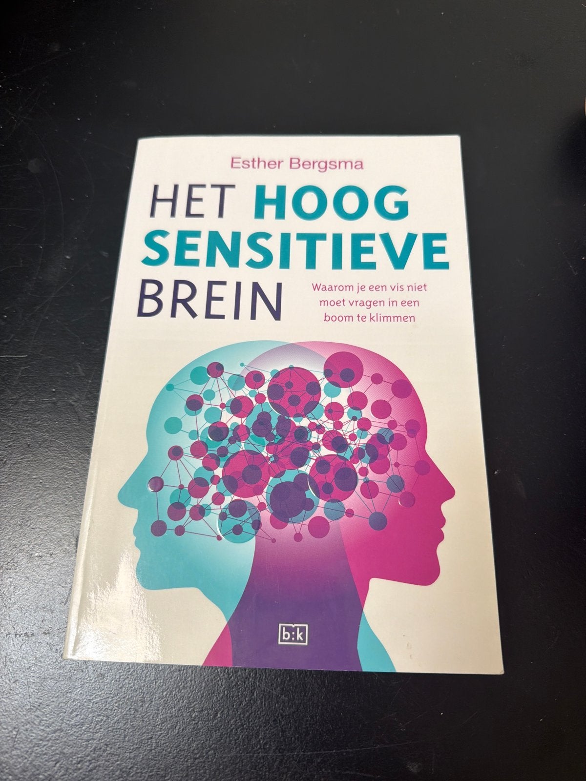 Het Hoog Sensitieve Brein - Esther Bergsma, Ophalen of Verzenden, Zo goed als nieuw, Overige onderwerpen
