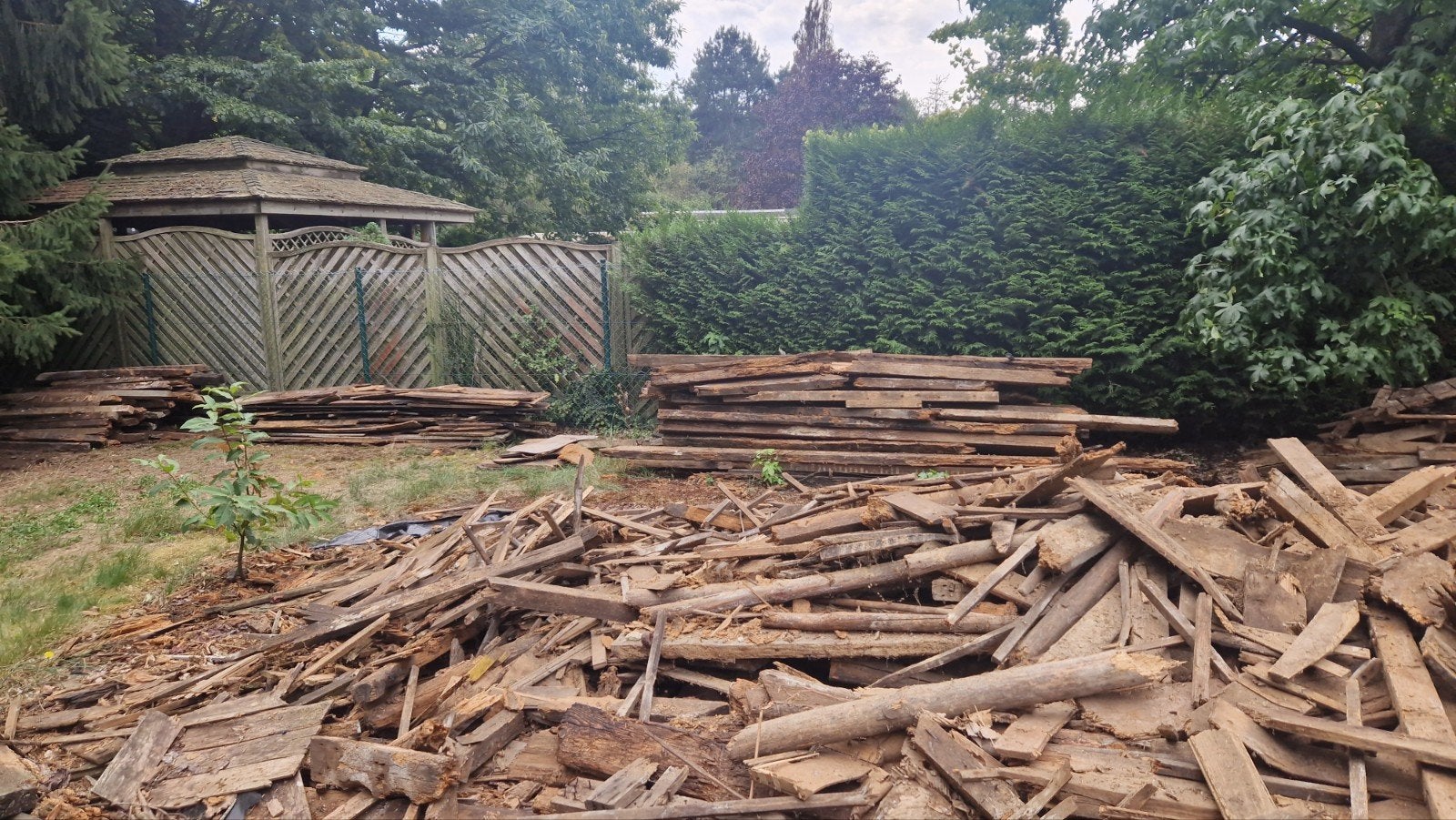 Gratis hout - omgeving Balen/Mol België, Minder dan 3 m³, Ophalen