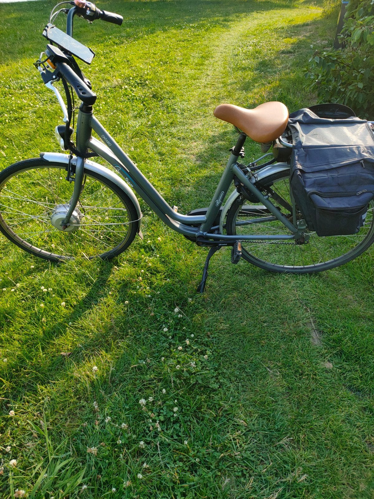Elektrische fiets Ontario Green Team E-Bike, 55 tot 59 cm, Ophalen, Gebruikt, 30 tot 50 km per accu