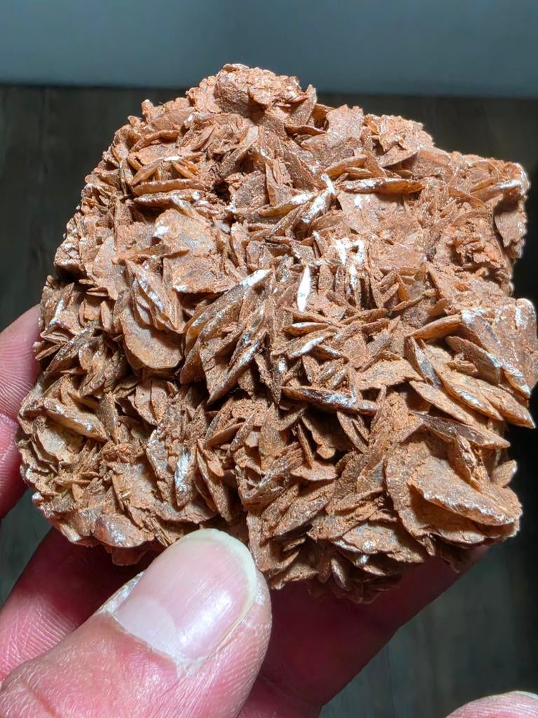 Woestijnroos kristal / Desert Rose – natuurlijke mineralen, Ophalen
