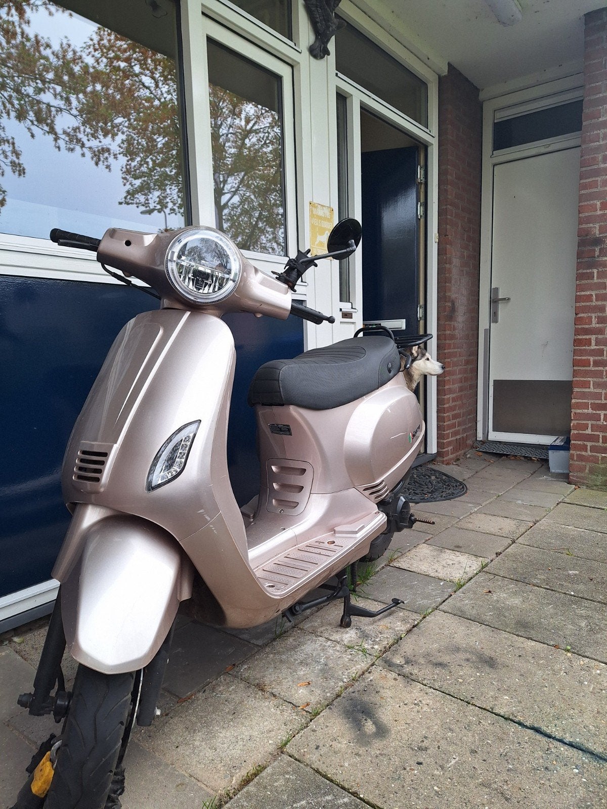 Senzo scooter - defecte benzinepomp - €150, Ophalen, Gebruikt, Benzine, Senzo
