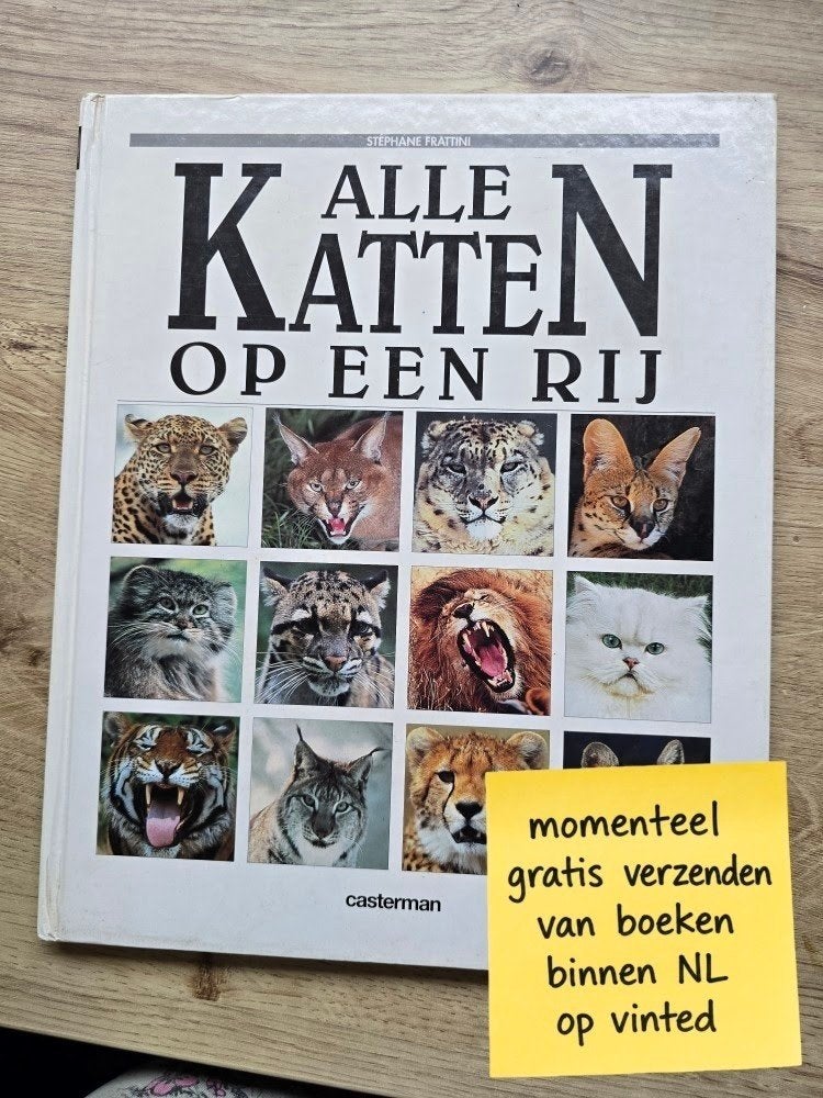 Alle katten op een rij - Stéphane Frattini (Casterman), Ophalen of Verzenden, Gelezen, HAVO