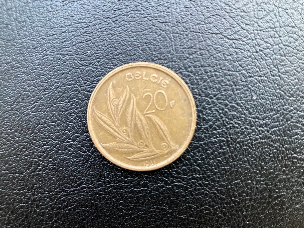 Munt 20 Belgische Franc uit 1981, Ophalen of Verzenden, Losse munt