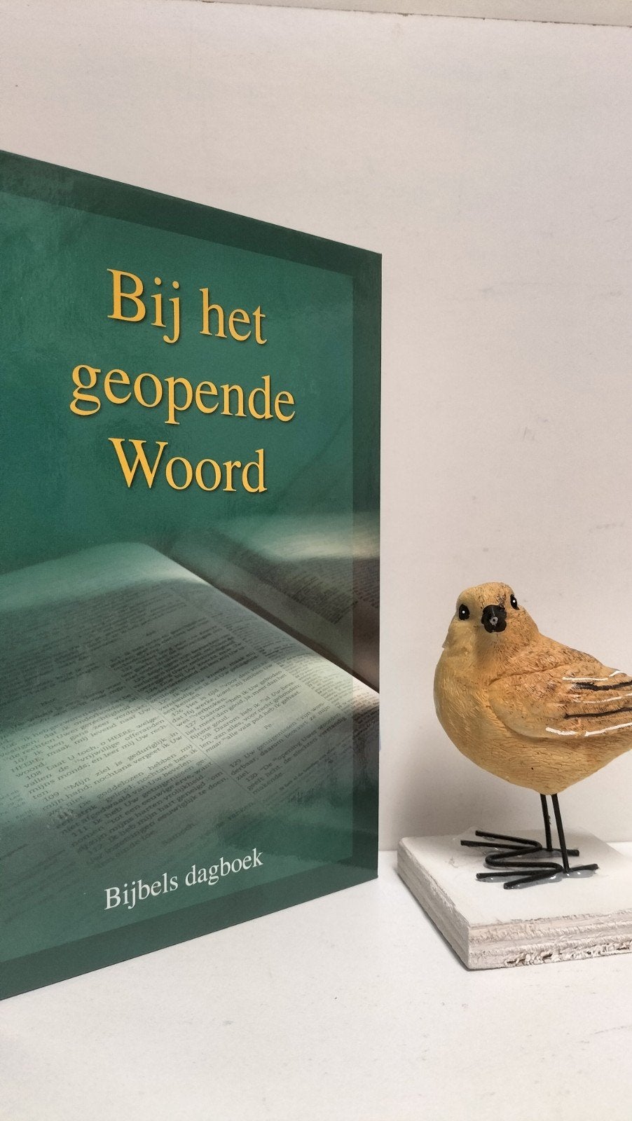 Div. Ger. Gem. predikanten; Bij het geopende Woord 2013, Ophalen of Verzenden, Gelezen, Christendom | Protestants