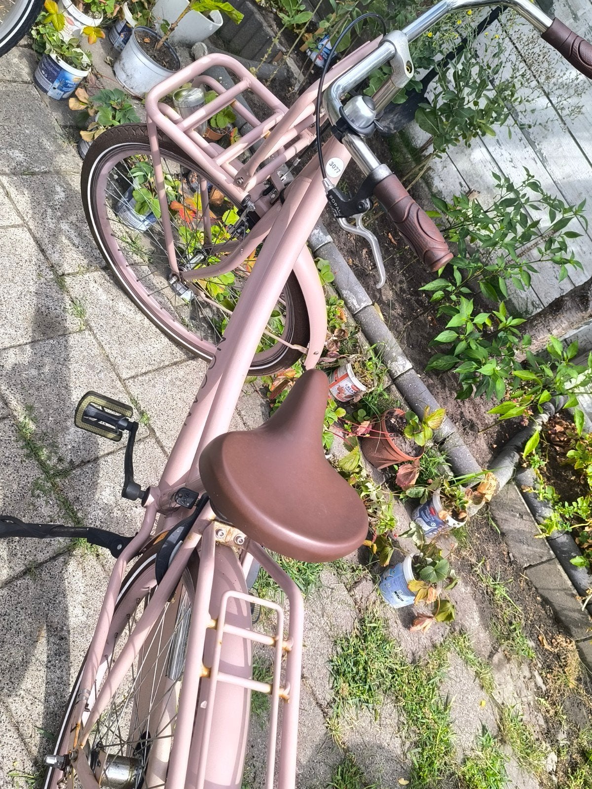 damesfiets 26 inch, Ophalen