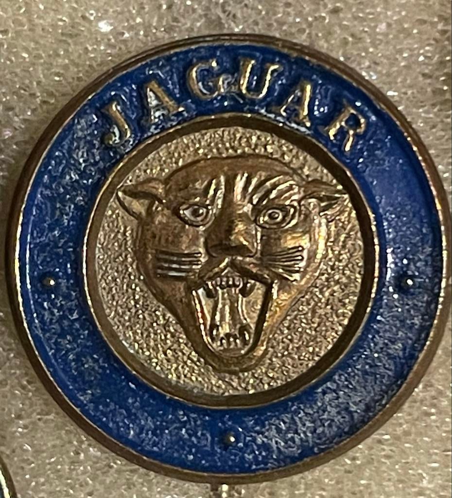 Jaguar Speldje, Ophalen of Verzenden, Gebruikt