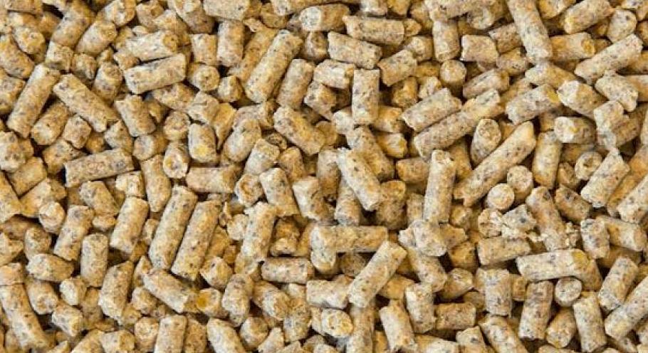varkenkorrel 5kg, Dieren en Toebehoren, Schapen, Geiten en Varkens, Meerdere dieren, Varken, 3 tot 5 jaar