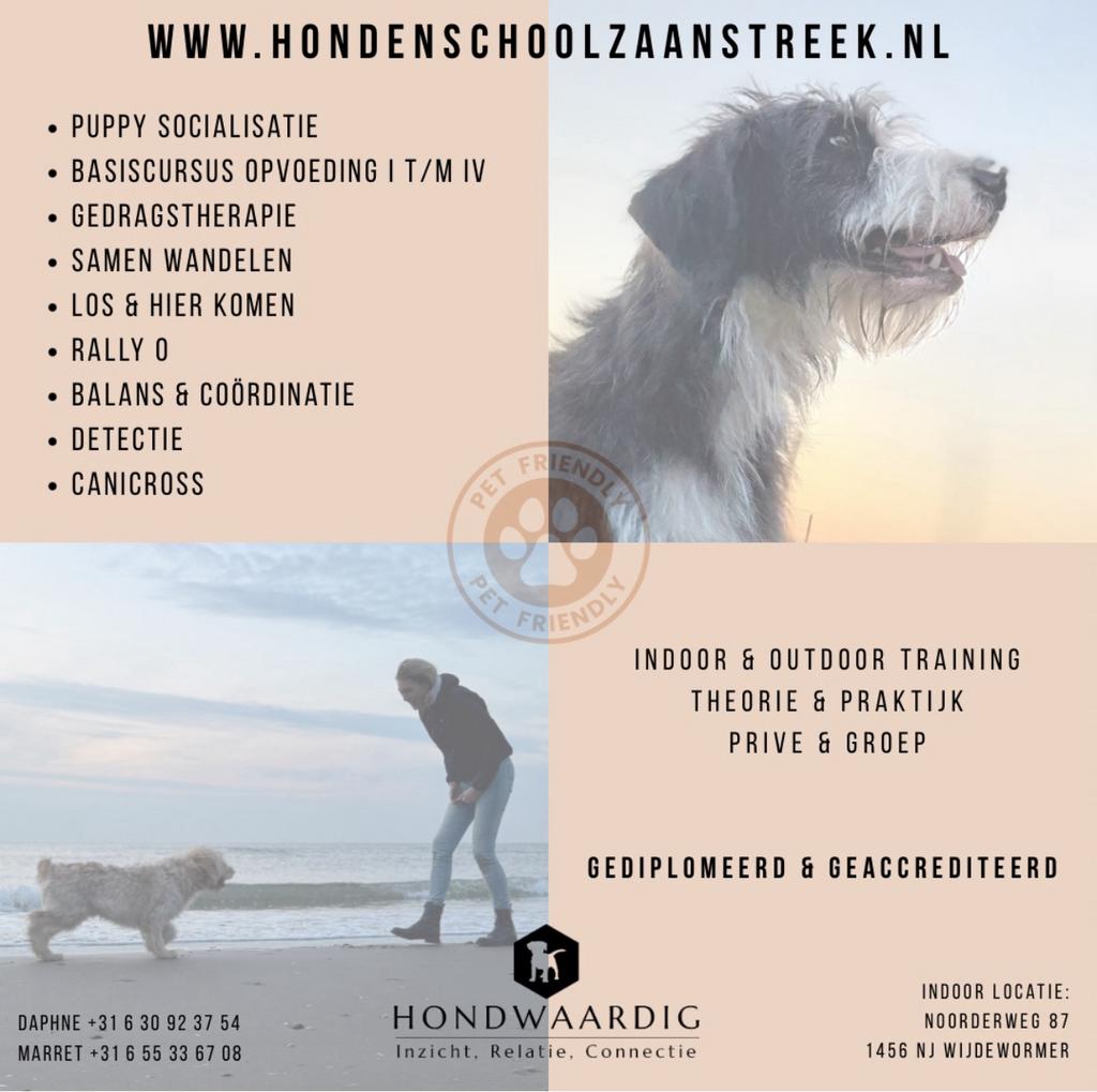 Hondendagopvang en Hotel, Hondenschool SPPD CKI accredit, Trimmen of Verzorging