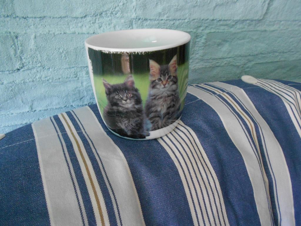 Royal Canin beker Maine Coon, Ophalen, Gebruikt, Gebruiksvoorwerp