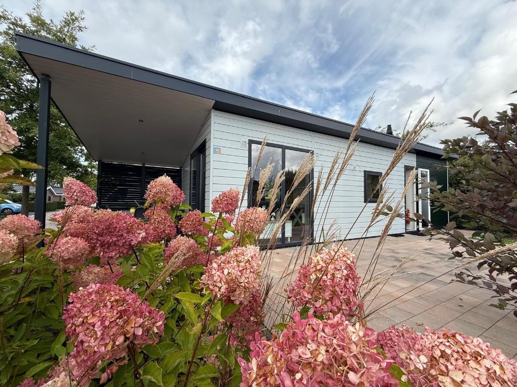 EuroParcs Markermeer - 4-persoons chalet met veranda te koop, Tot en met 4