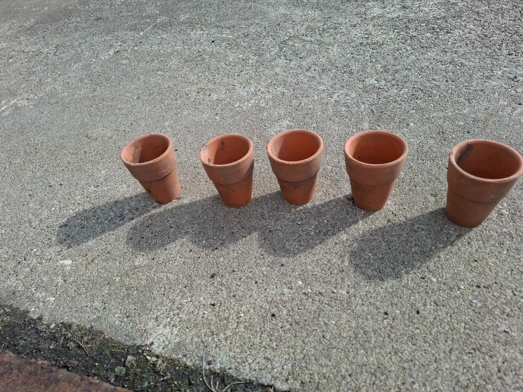 TERRACOTTA POTJES, Bloeit niet, Overige soorten, Minder dan 100 cm, Ophalen