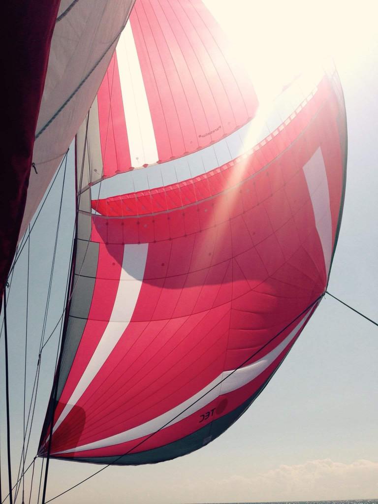 New Generation Parasailor 94 m² Red Passion ZGAN, 6 meter of meer, Spinnaker, Ophalen of Verzenden, Zo goed als nieuw
