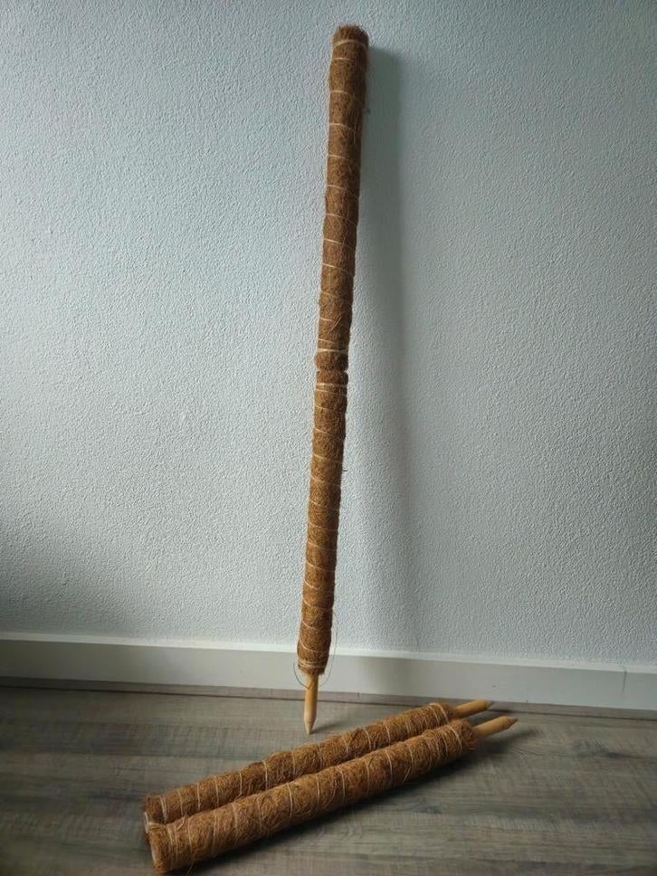 Mosstokken, Ophalen of Verzenden, Nieuw