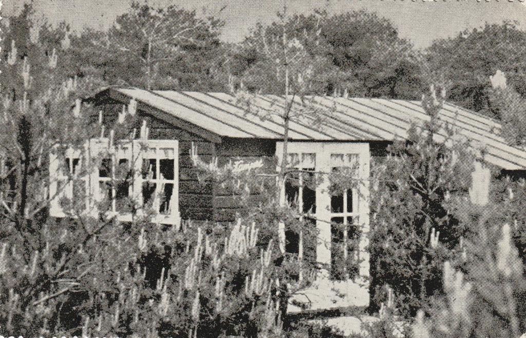 05581 Ermelo - Groeten uit Kampeercentrum in de Rimboe, Verzenden, 1960 tot 1980, Gelopen, Gelderland