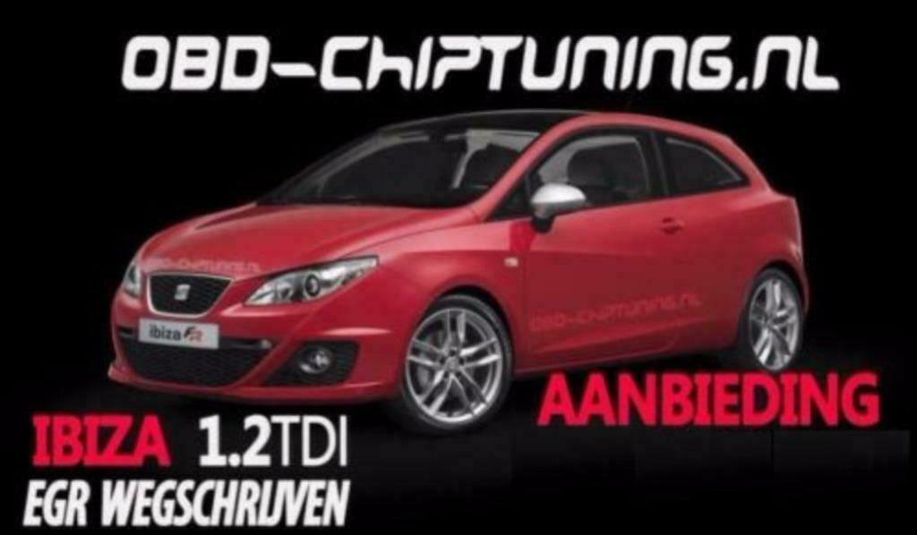 Skoda Fabia 1.2tdi EGR klep wegschrijven p0405 p0403 €199,95, Ophalen, Gereviseerd, Seat