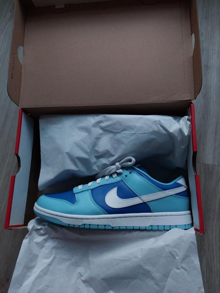 Nike Dunk Low Argon 2023 (45), Blauw, Nike, Nieuw, Ophalen of Verzenden