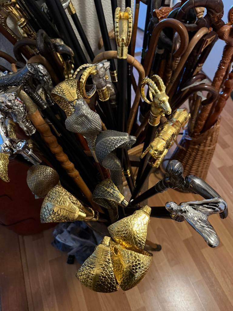 Wandelstok ruime keuze!, Ophalen of Verzenden, Nieuw