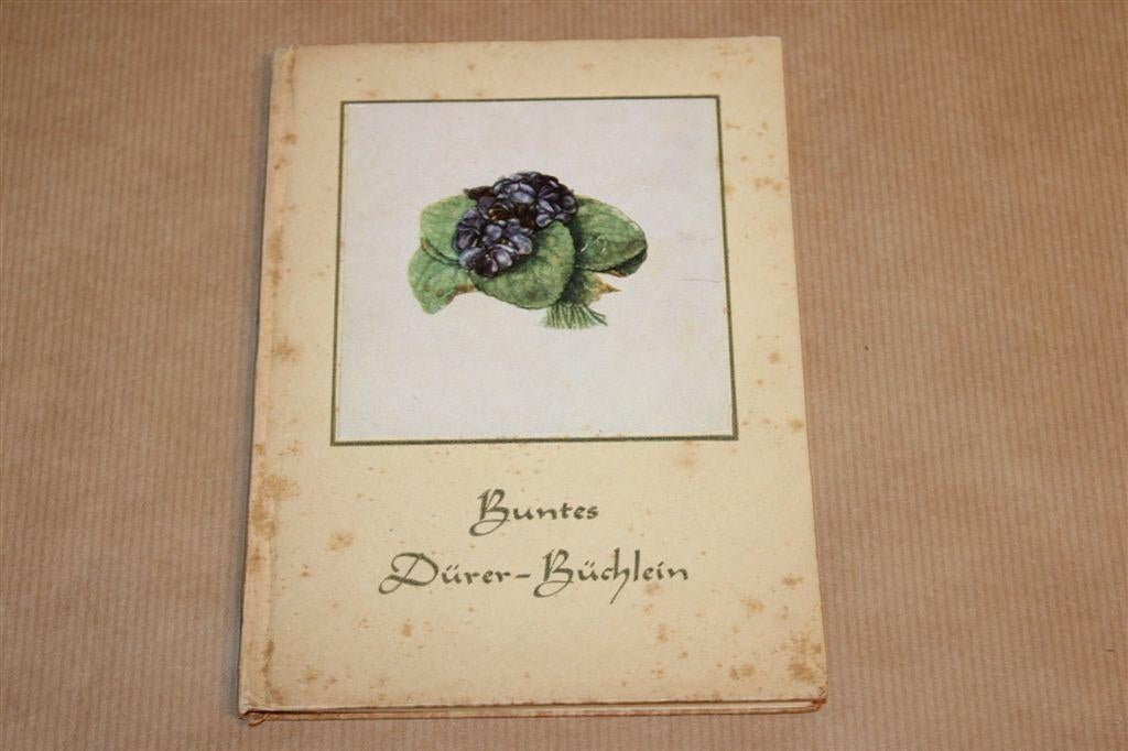 Buntes Dürerbüchlein — Dürer Kleurenprenten [Vintage 1941], Ophalen of Verzenden, Gelezen