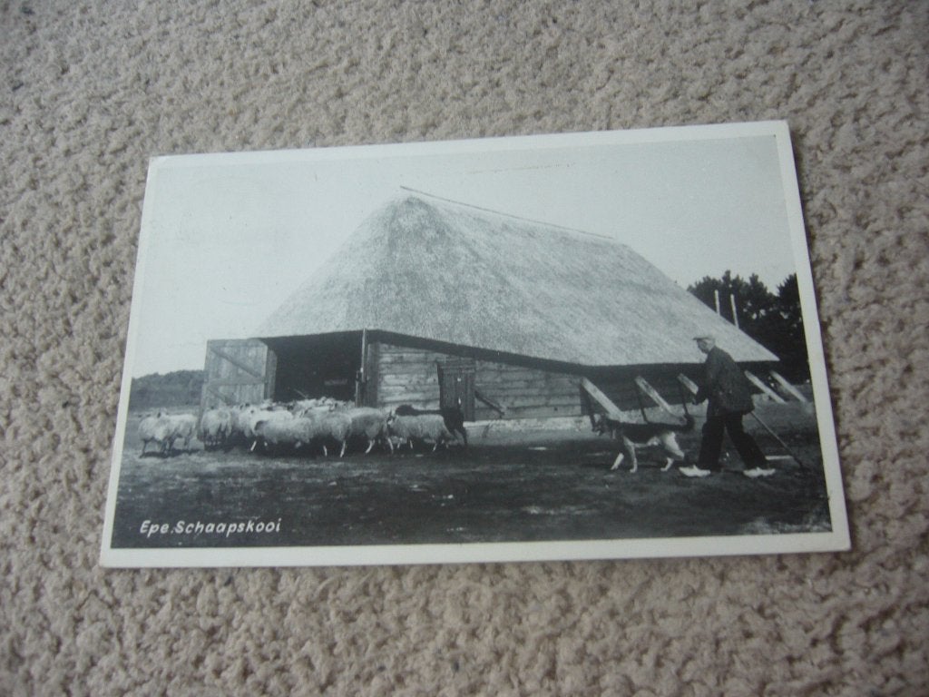 EPE  =  SCHAAPSKOOI, Ophalen of Verzenden, 1940 tot 1960, Gelopen, Gelderland
