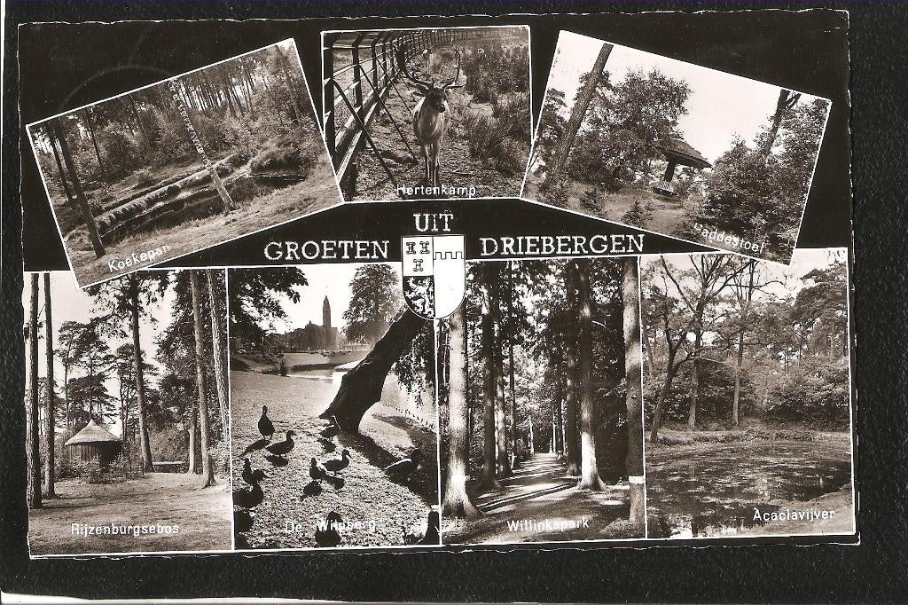 Driebergen, groeten uit, Ophalen of Verzenden, 1960 tot 1980, Gelopen, Utrecht