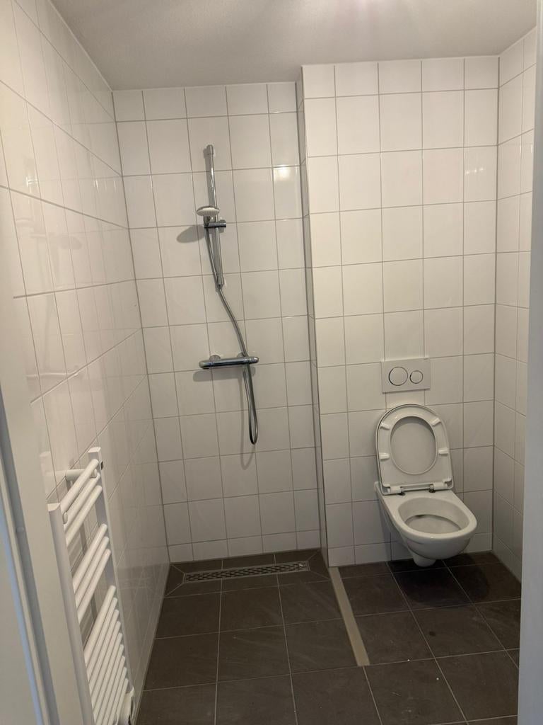 Centrum den bosch studio te huur, 35 tot 50 m², S-Hertogenbosch
